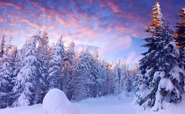 Wie sollte im Winter das Schmieröl des Luftkompressors ausgewählt werden, um sich an die Umgebung mit niedrigen Temperaturen anzupassen?